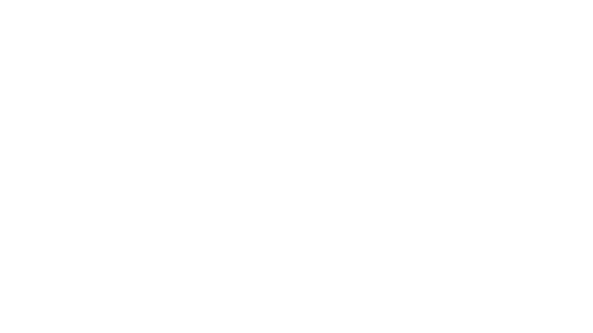 Live The Experience Logo