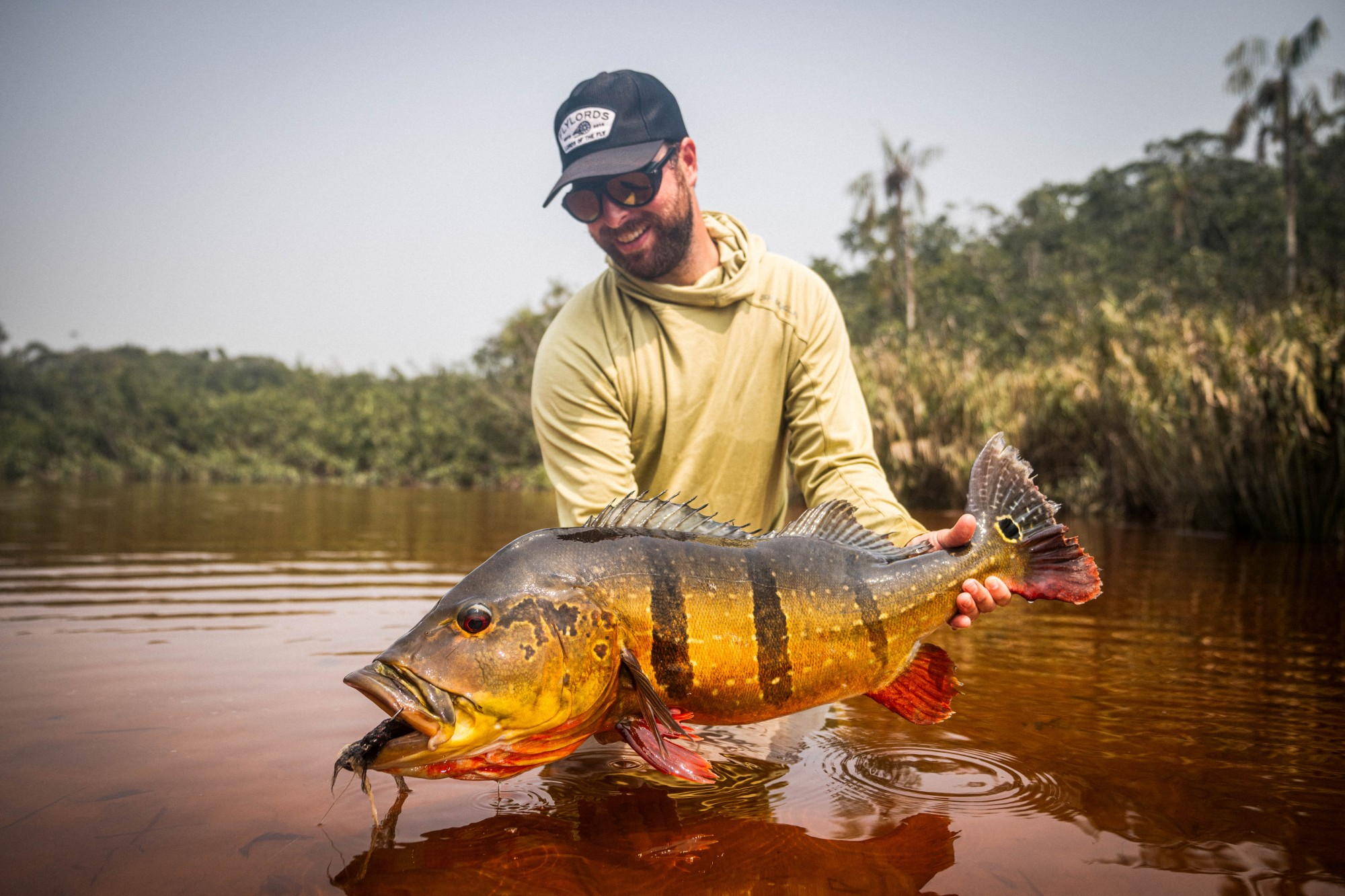 Fisherman holding a large Peacock Bass